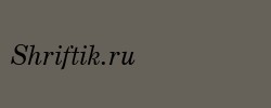 CenturySchT Italic 